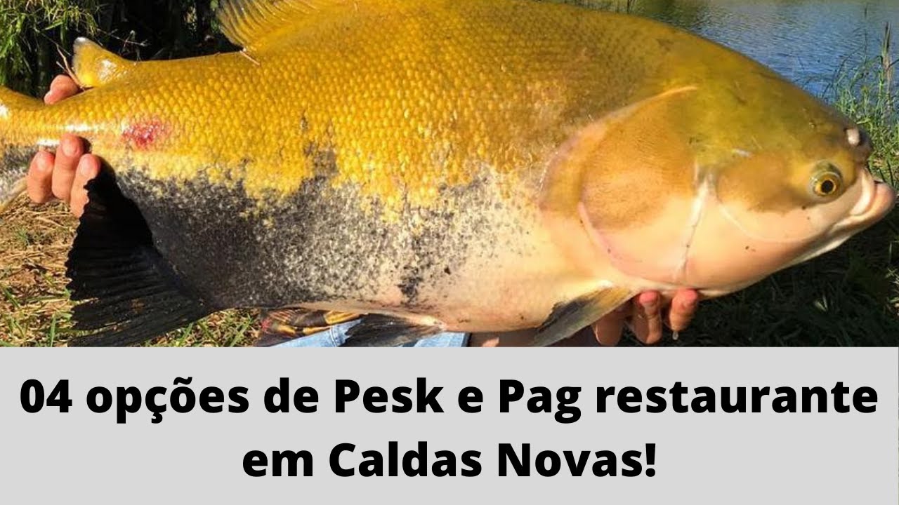 pesque pague com restaurante