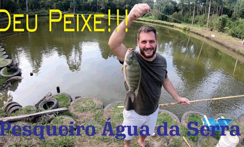 pesque pague em Santa Catarina