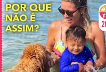 iatismo no brasil
