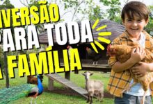 melhores hoteis fazenda do brasil