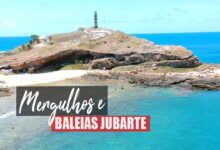 mergulho em abrolhos