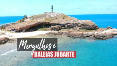 mergulho em abrolhos