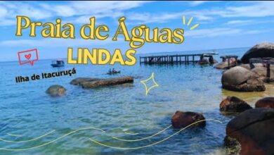 Ilha de Itacuruçá