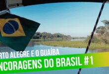 iatismo no brasil