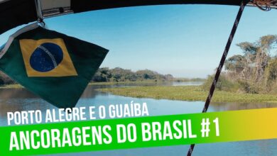 iatismo no brasil