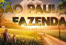 melhores hoteis fazenda do brasil