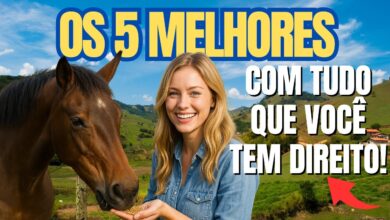 hotel fazenda em minas gerais