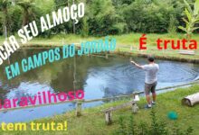 Pesqueiro Vale do Sol