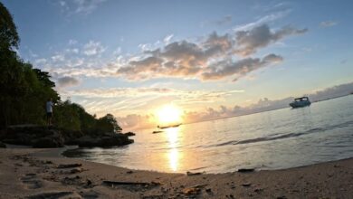 Ilha de Boipeba
