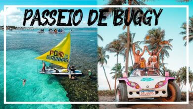 passeio de buggy porto de galinhas