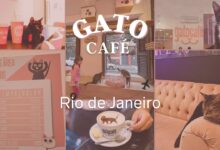 restaurantes no Rio de Janeiro RJ