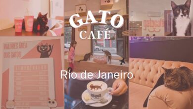 restaurantes no Rio de Janeiro RJ