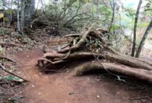 turismo em uberlândia