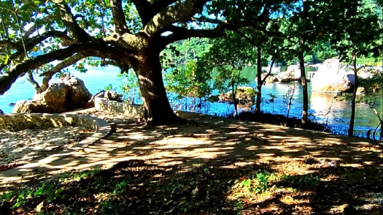 Ilha da Madeira (RJ)