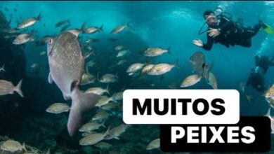 mergulho em buzios