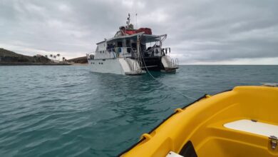 mergulho em abrolhos