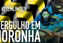mergulho em fernando de noronha