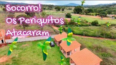 cachoeira em pirenópolis