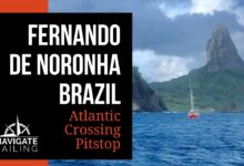 iatismo no brasil