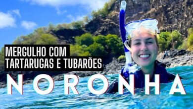 mergulho em fernando de noronha