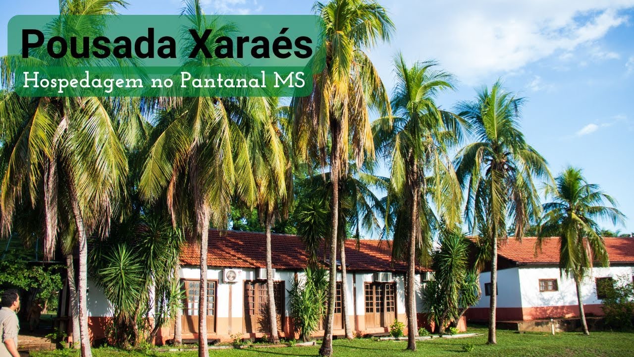 hotel fazenda no pantanal