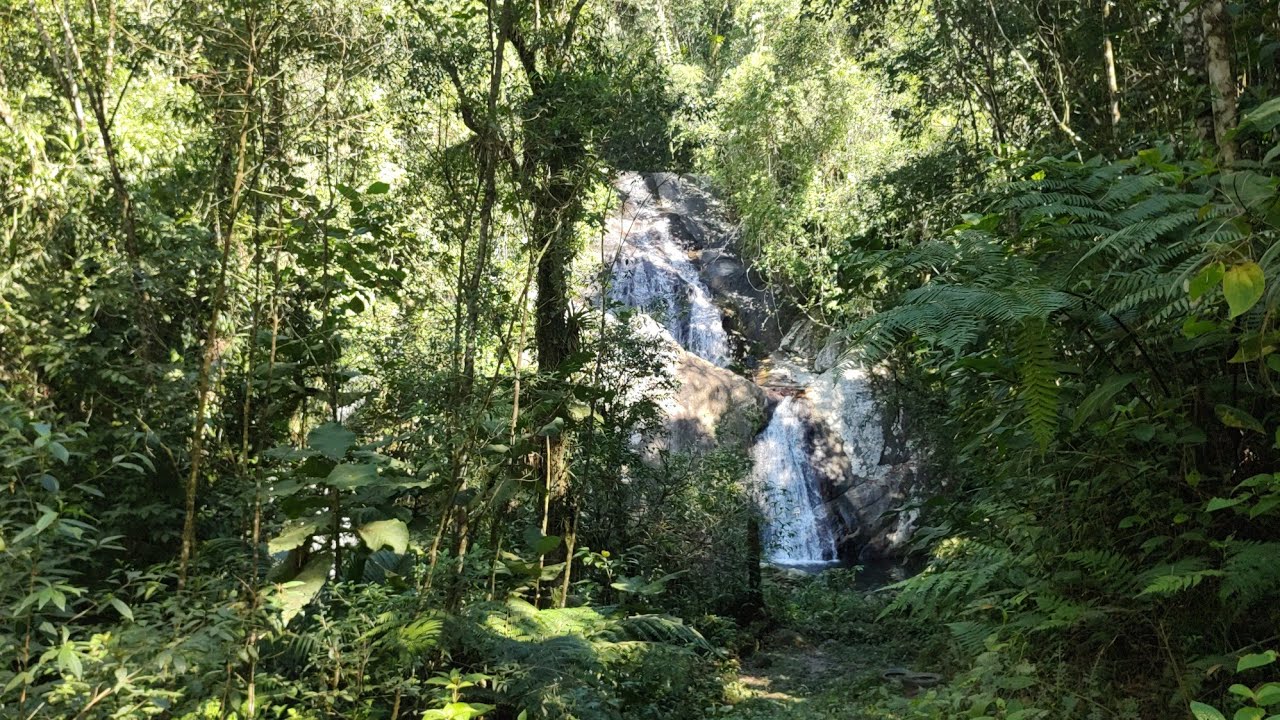 Cachoeira do Bananal - RJ