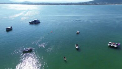 Ilha do Campeche
