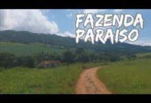 Pesqueiro Paraíso