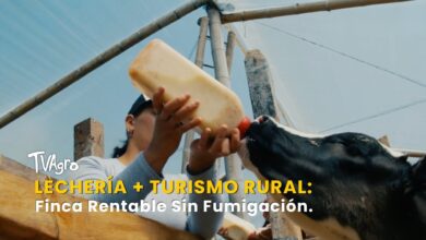 turismo rural