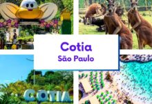 Pesqueiro Dois Irmãos