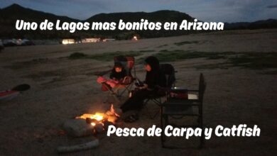 Pesqueiro Carpa