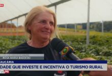 turismo rural