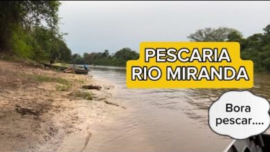 Pesqueiro Pantanal