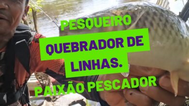 Pesqueiro Peixe Grande