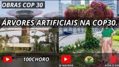 cop30 belem