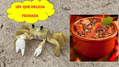 restaurantes em joão pessoa