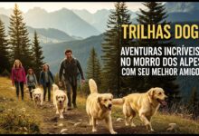 trilhas em Porto Alegre