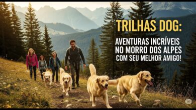 trilhas em Porto Alegre