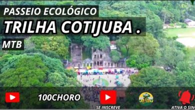 cop30 belem