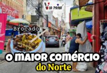 cop30 belem