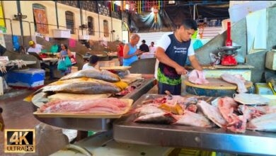 gastronomia em Belém PA