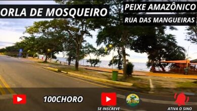cop30 belem