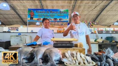 gastronomia em Belém PA