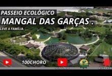 cop30 belem